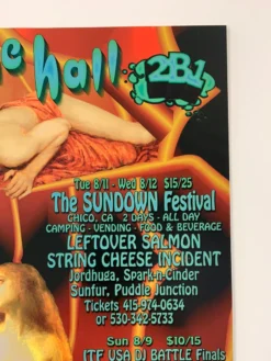 Carolyn Ferris Gig Posters MHP 50 Maritime Hall - 1998 Poster August Blink-182, SCI, Leftover Salmon San Fran 1st