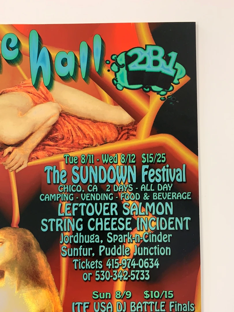 Carolyn Ferris Gig Posters MHP 50 Maritime Hall - 1998 Poster August Blink-182, SCI, Leftover Salmon San Fran 1st