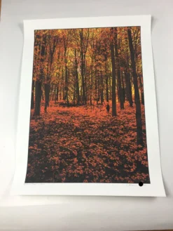 Art Prints Elder Days - 2010 Dan McCarthy Poster Art Print