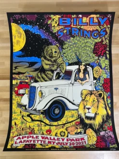 Caitlin Mattisson Gig Posters Billy Strings - 2021 Catlin Mattisson Poster Lafayette, NY Apple Valley 7/30