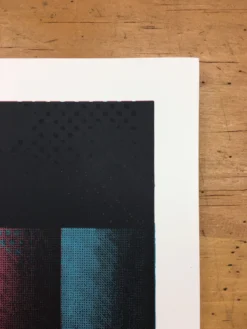 Edward Sharpe And The Magnetic Zeros - 2016 Delicious Design League Poster Chica