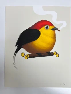Fat Bird - 2019 Mike Mitchell Poster Wire-tailed Manakin Variant