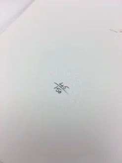 Art Prints Super Season - 2008 Elph Poster Art Print POW