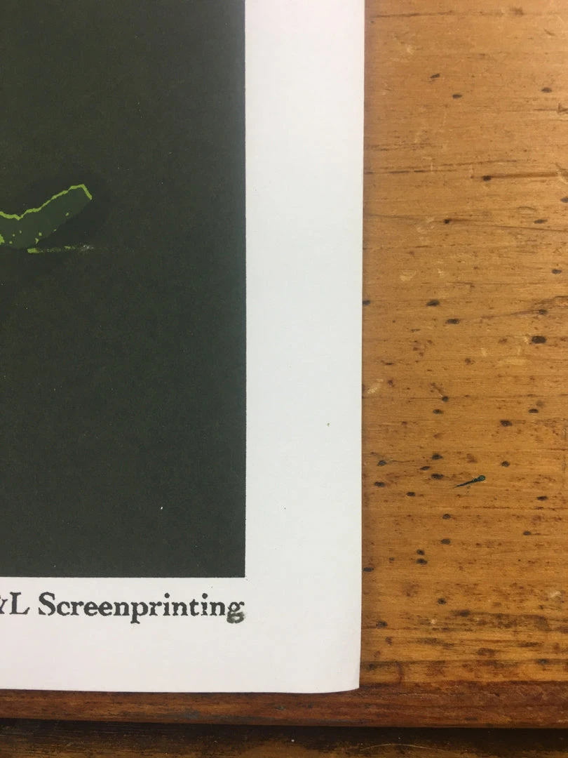 Gig Posters Pearl Jam - 2005 Brad Klausen Poster South America