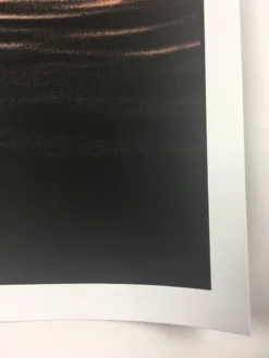 Gig Posters Karen Elson - 2010 Todd Slater Poster June U.S Tour