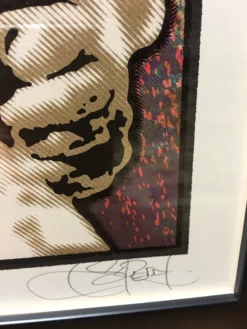 The Who - 2016 Chuck Sperry Poster Roger Daltry 50th Anniversary Tour FRAMED