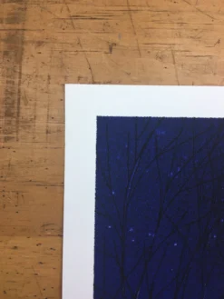 Flatstock 13 - 2007 Daniel Danger Poster Chicago, IL Union Park