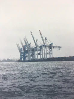 Cranes - 2011 Dan MacAdam Crosshair Poster Art Print Art Prints