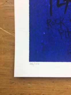 Flatstock 13 - 2007 Daniel Danger Poster Chicago, IL Union Park