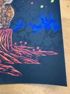 Norah Jones - 2019 Todd Slater Poster Red Rocks Morrison, CO X/60