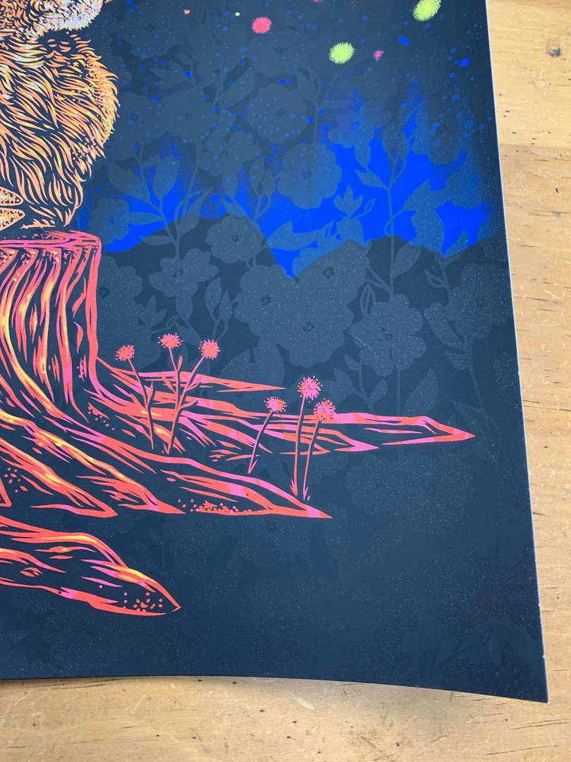 Norah Jones - 2019 Todd Slater Poster Red Rocks Morrison, CO X/60