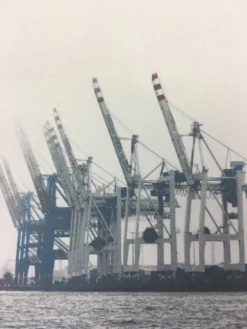 Cranes - 2011 Dan MacAdam Crosshair Poster Art Print Art Prints