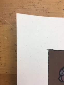 Gig Posters Andrew Bird - 2005 Jay Ryan Poster