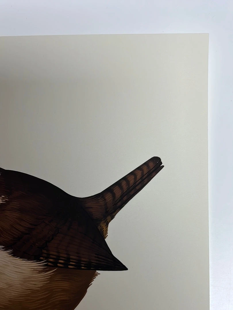 Fat Bird - 2019 Mike Mitchell Poster Carolina Wren Variant