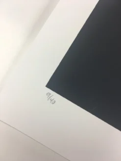 Untitled (Psych Drac) - 2008 Mike Budai Poster Art Print Art Prints