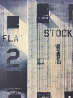 Flatstock 21 - 2009 Dan MacAdam Crosshair Poster Chicago, IL Union Park