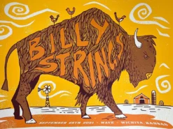 Billy Strings - 2021 Andy Bird Poster Wichita, KS Gig Posters