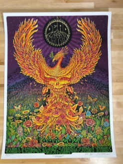 Dead & Company - 2021 EMEK Poster Summer Tour S/N X/250 Gig Posters