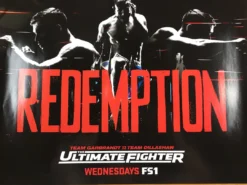 Sold Out Posters UFC Ultimate Fighter Garbrandt Vs Dillashaw Redemption Poster