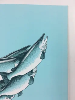 Art Prints Salmon Run - 2015 Justin Santora Poster Art Print