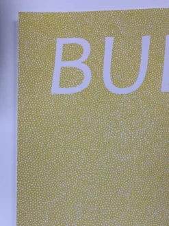 Bully - 2016 Fugscreens Studios Poster Chicago, IL Empty Bottle