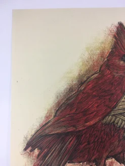 Art Prints The GC Line - Dan Grzeca Poster Art Print