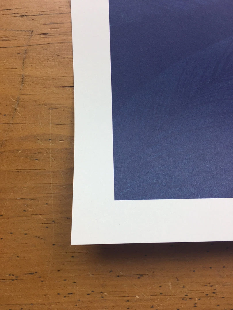 Dave Matthews Band - 2018 Matt Fleming Poster Quebec City, CAN Quebec City Summe