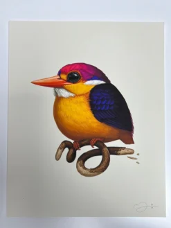 Fat Bird - 2020 Mike Mitchell Poster Rufous-Backed Dwarf Kingfisher AP Art Prints