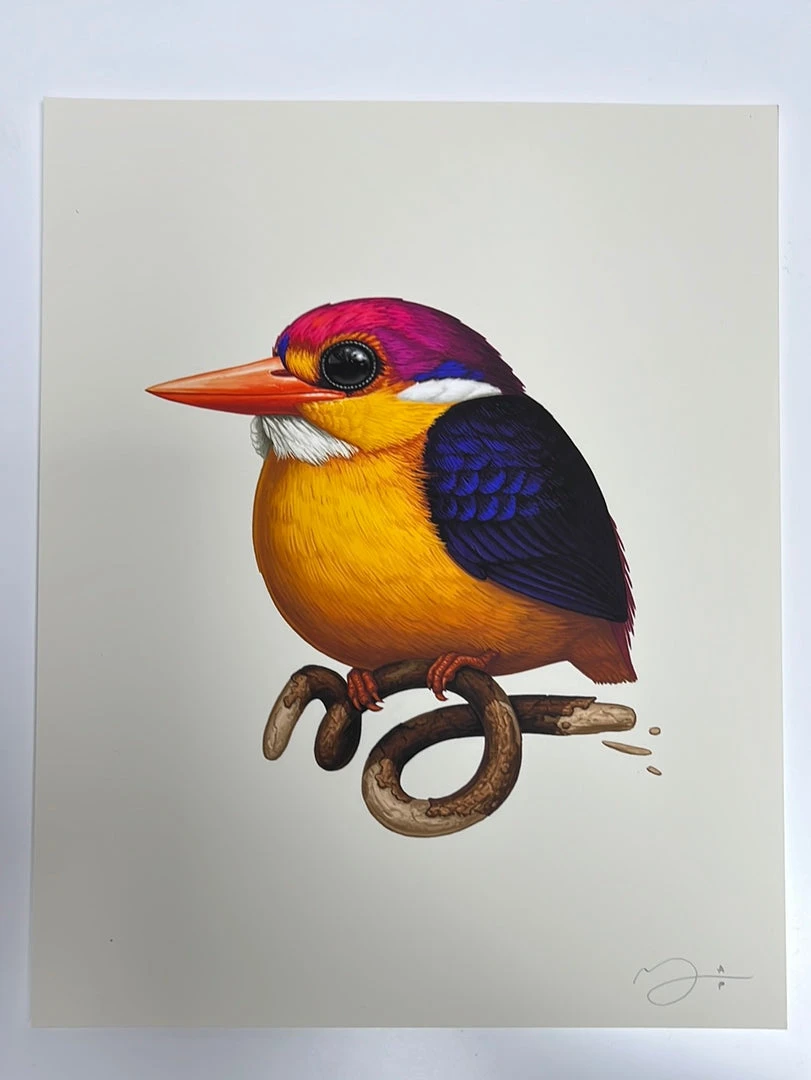 Fat Bird - 2020 Mike Mitchell Poster Rufous-Backed Dwarf Kingfisher AP Art Prints
