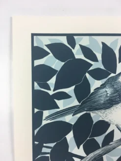 Black Capped Chickadee (Poecile Atricapillus) - 2015 Justin Santora Poster Art P