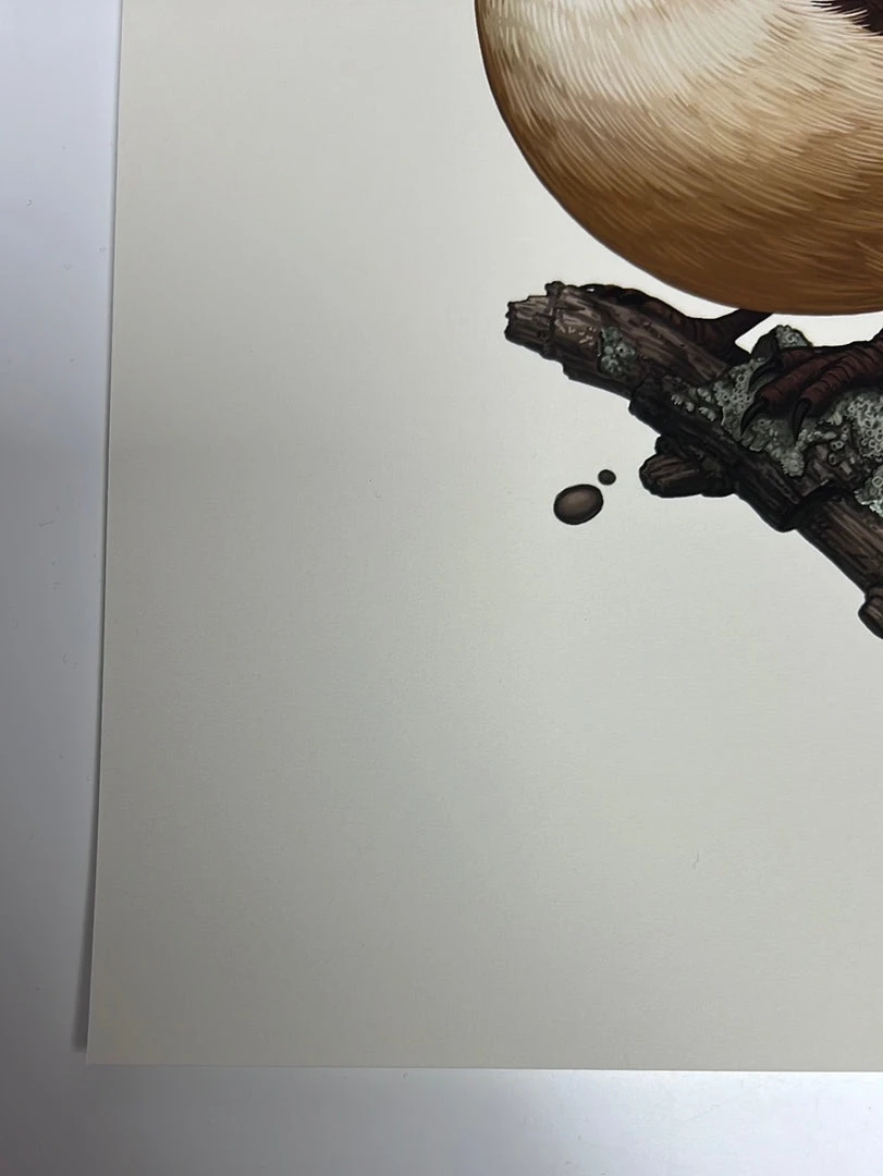 Fat Bird - 2019 Mike Mitchell Poster Carolina Wren Variant