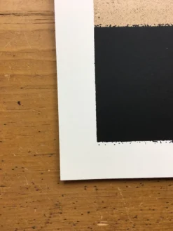 Umphrey's McGee - 2016 Delicious Design League Poster Madison, WI Orpheum Theate