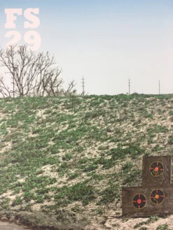 Flatstock 29 - 2011 Dan MacAdam Crosshair Poster Austin, TX Austin Convention Ce Gig Posters