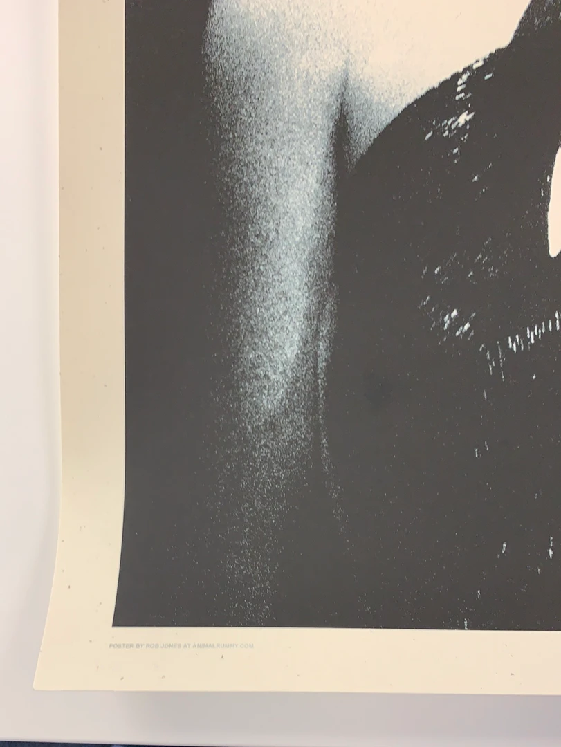 The Dead Weather 2009 Rob Jones Poster (with Damage) Chicago Vic Night 2 S/N Chicago, IL