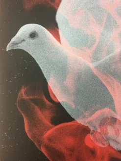 Birth Of A Phoenix #1 - 2010 Todd Slater Poster Art Print Art Prints