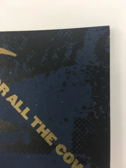 Foo Fighters - 2008 Todd Slater Poster Philadelphia, PA Wachovia Spectrum Gig Posters