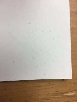 Gig Posters Andrew Bird - 2005 Jay Ryan Poster