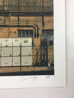 The New Pornographers - 2010 Dan MacAdam Crosshair Poster Chicago, IL Metro