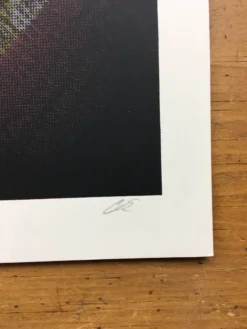 Edward Sharpe And The Magnetic Zeros - 2016 Delicious Design League Poster Chica