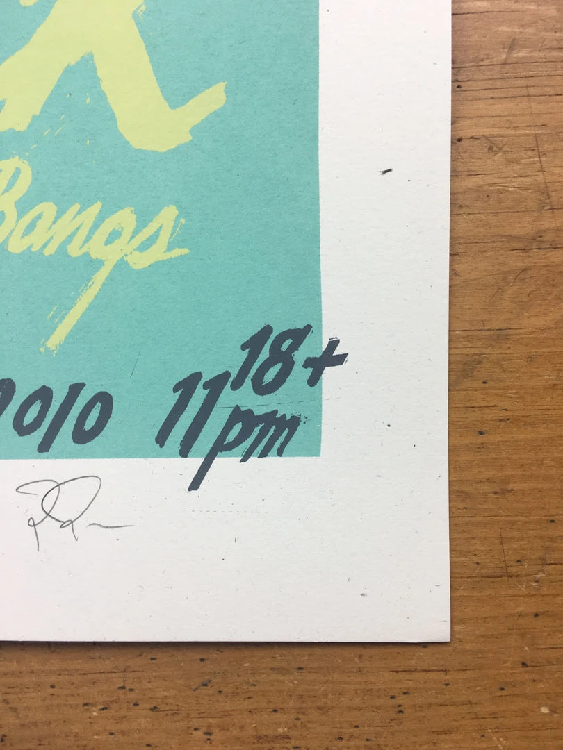 The Soft Pack - 2010 Jay Ryan Poster Chicago, IL Schubas