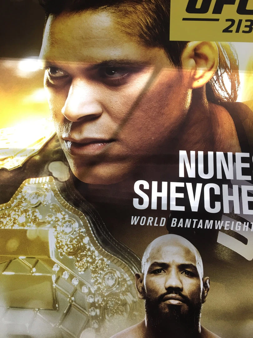 Sold Out Posters UFC 213 Poster - Nunes Vs Shevchenko 2