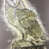 Reconstructed Barn Owl - 2013 Dan Grzeca Poster Art Print Charcoal Brown Art Prints