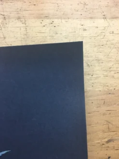 Queens Of The Stone Age - 2005 Brad Klausen Poster Red's Entertainment Complex E