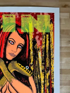 Colorado Nine Inch Nails - 2006 Lindsey Kuhn Poster Red Rocks Morrison, CO