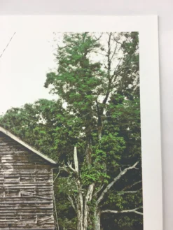 The Band Of Heathens - 2009 Dan MacAdam Crosshair Poster Austin, TX KLRU Studios