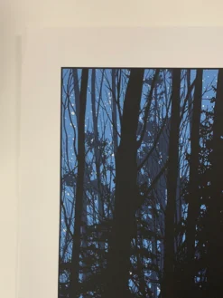 A Night In The Forest - 2010 Dan McCarthy Poster Art Print