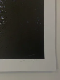 A Night In The Forest - 2010 Dan McCarthy Poster Art Print