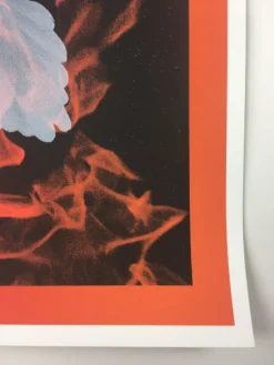 Birth Of A Phoenix #1 - 2010 Todd Slater Poster Art Print Art Prints