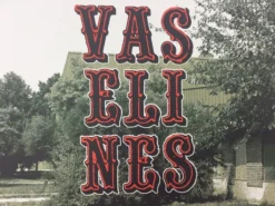 The Vaselines - 2009 Dan MacAdam Crosshair Poster Chicago, IL Metro