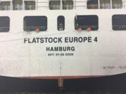 Flatstock Europe 4 - 2009 Dan MacAdam Crosshair Poster Hamburg, GER